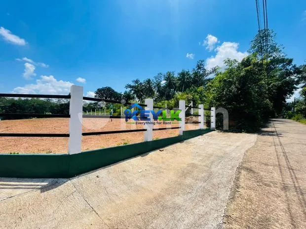 House for rent in colombo